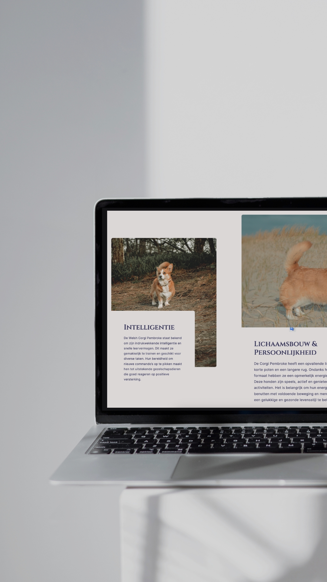 Professionele webdesign